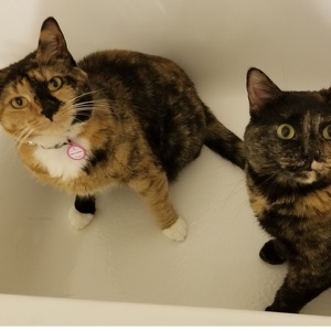 Fundraising Page: Colleen Quigley